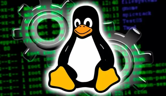Linux Nedir? Ne İçin Kullanılır?