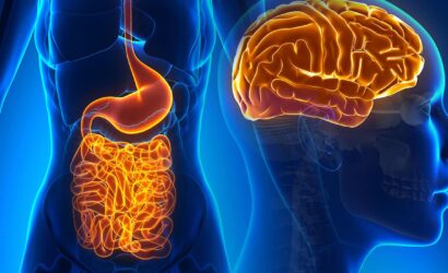 Gut-Brain-Connection-Header