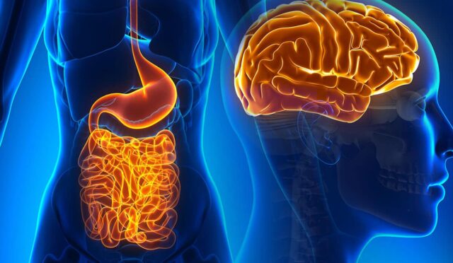 Gut-Brain-Connection-Header